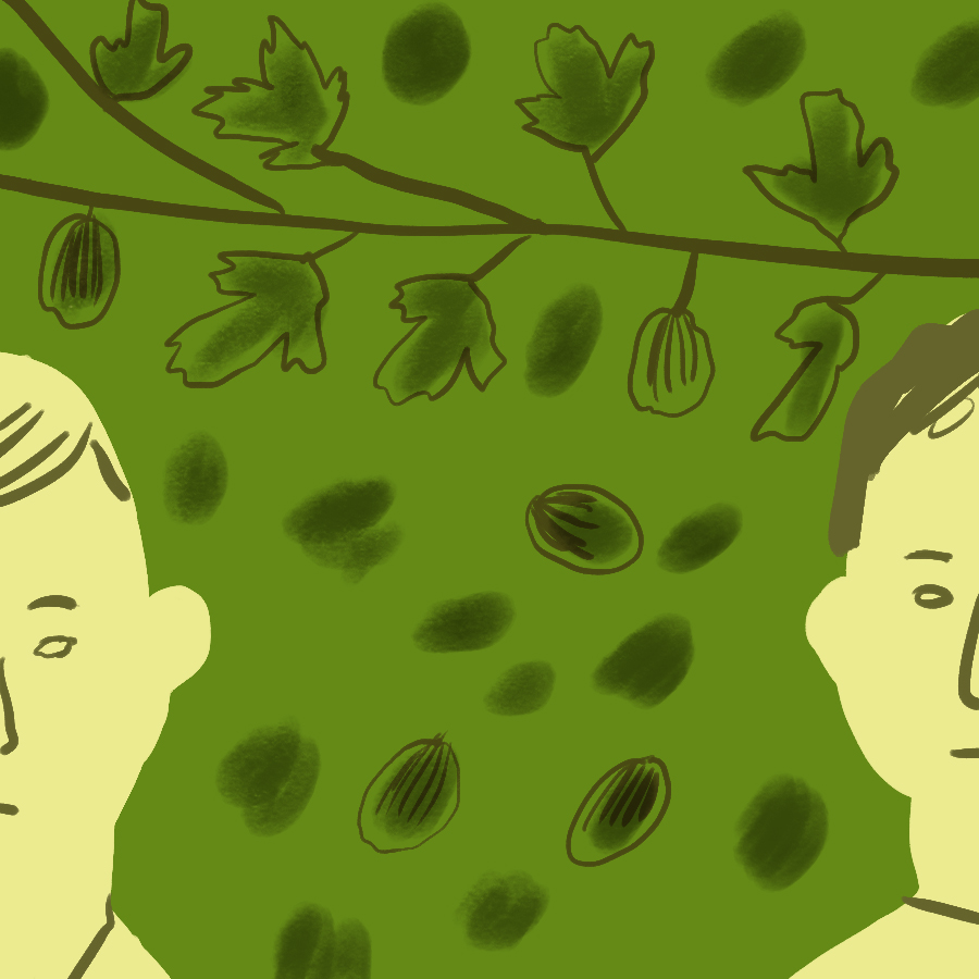 illustration of two men, one with light hair and one with darker, standing with a forest scene behind them