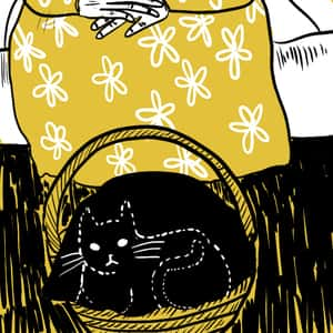 dotted outline of a black cat sitting within a basket in front of an older woman wearing a sundress