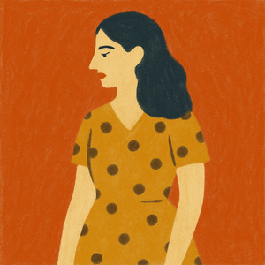 the new dress short story summary The New Dress Summary