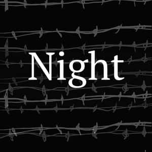 what is the theme of night by elie wiesel