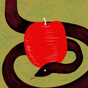 Symbolic illustration of a snake coiled around an apple