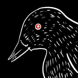 illustrated portrait of a black, red-eyed raven