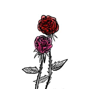 illustration of two roses slighly intertwined with one another