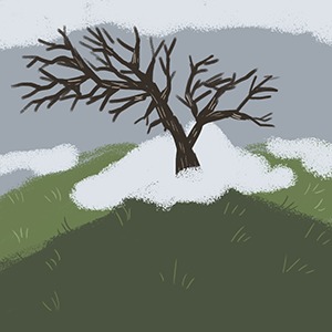 lone tree on a hilltop surrounded by fog