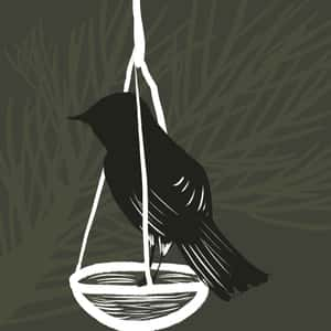 Illustration of a bird perched on a scale of justice