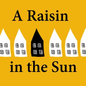 a raisin in the sun discrimination essay
