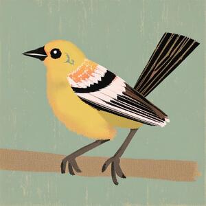 The Weaver Bird Analysis Enotes The Weaver Bird Analysis Enotes