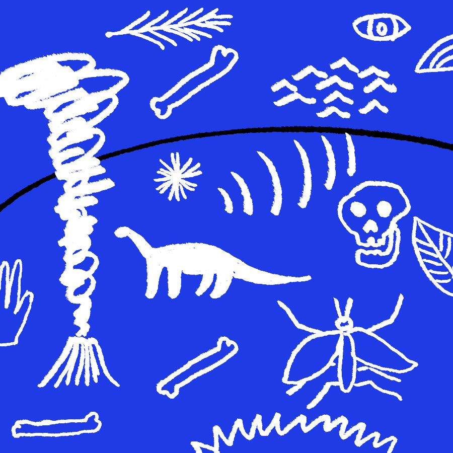 collage of bones, insects, a volcano, a dinosaur, and a skull