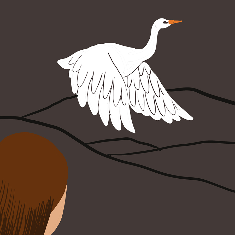 illustration of main character Sylvia watching a white heron fly through the sky