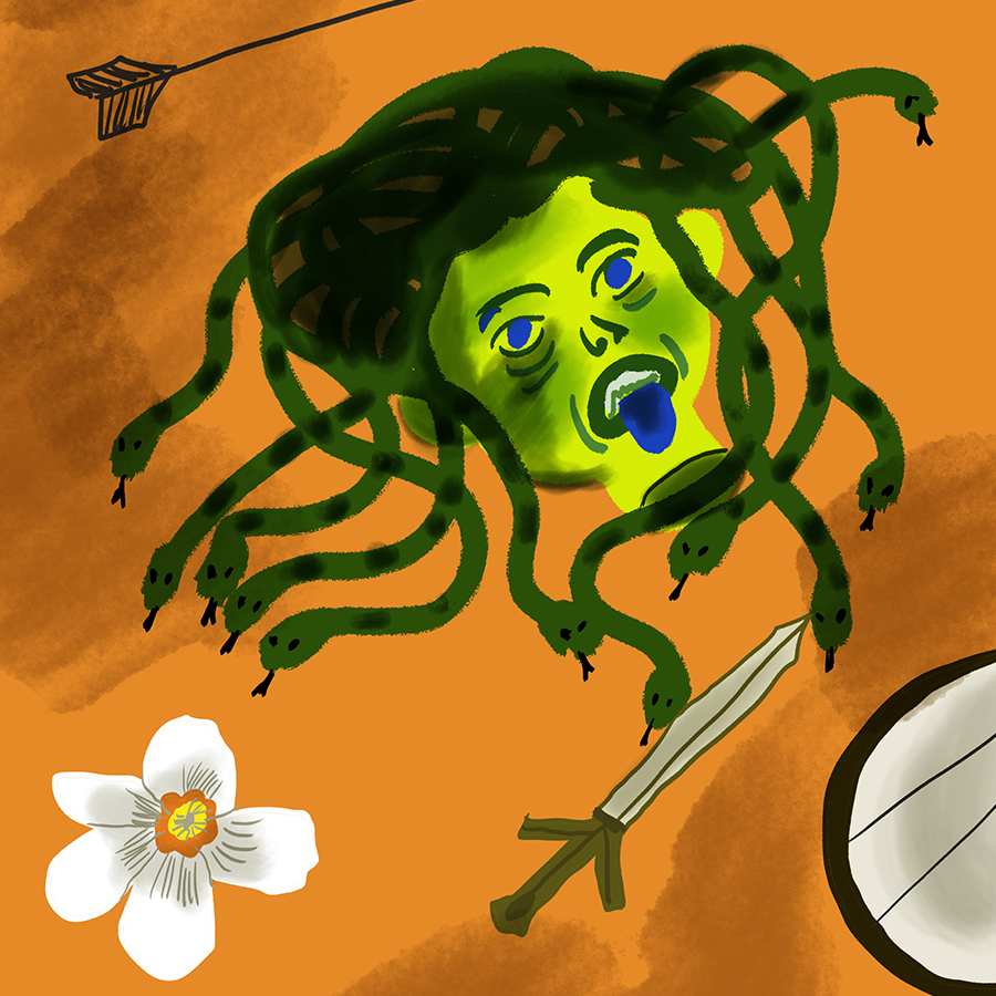 illustration of Medusa's severed head, a sword, a flower, a shield, and an arrow